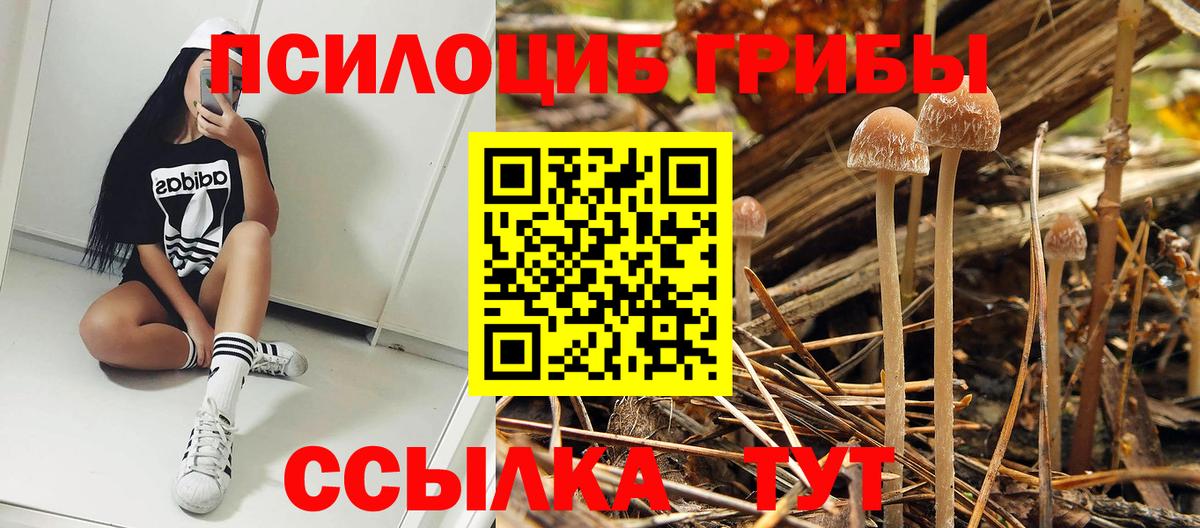 Галлюциногенные грибы мицелий  Вход с VPN  Джанкой 