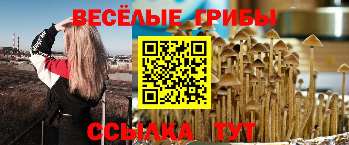 Псилоцибиновые грибы мухоморы Джанкой